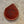 Load image into Gallery viewer, PNW Toast Co GTFO Slip