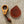 Load image into Gallery viewer, PNW Toast Co GTFO Slip