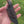 Load and play video in Gallery viewer, Deep Carry Pocket Sheath