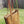 Load and play video in Gallery viewer, Large Leather Tote Bag
