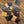 Load image into Gallery viewer, Dollaro Drop
